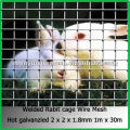 galvanized wire welded rabbit cage wire mesh(Manufacturer Since 1998)